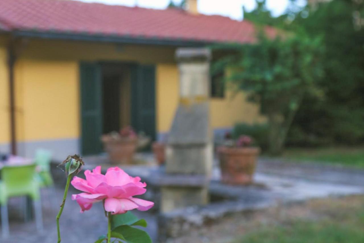 Casa Con Giardino In Mugello A 30 Minuti Da Firenze "Soleluna" Osteria di Novoli Luaran gambar