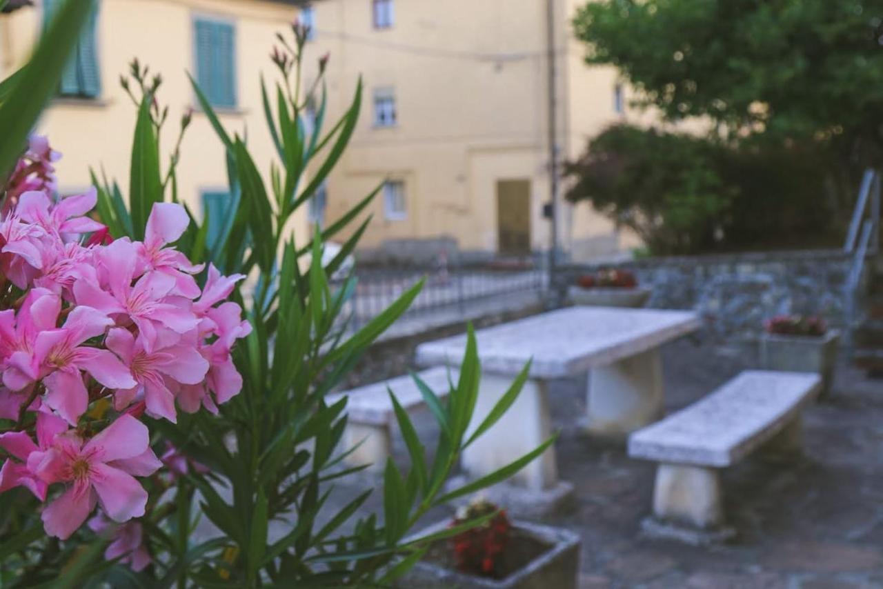 Casa Con Giardino In Mugello A 30 Minuti Da Firenze "Soleluna" Osteria di Novoli Luaran gambar